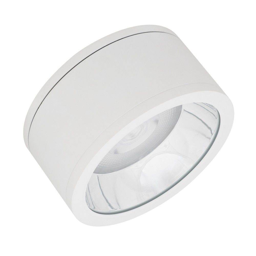 LED-Aufbaudownlight IP65 DLSU.DN250P4583036DW