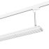 LED-Stromschienenleuchte LUZ-P12 101.830.60ws