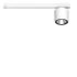 LED-Stromschienenstrahler ORYO-T10193015D-EUws