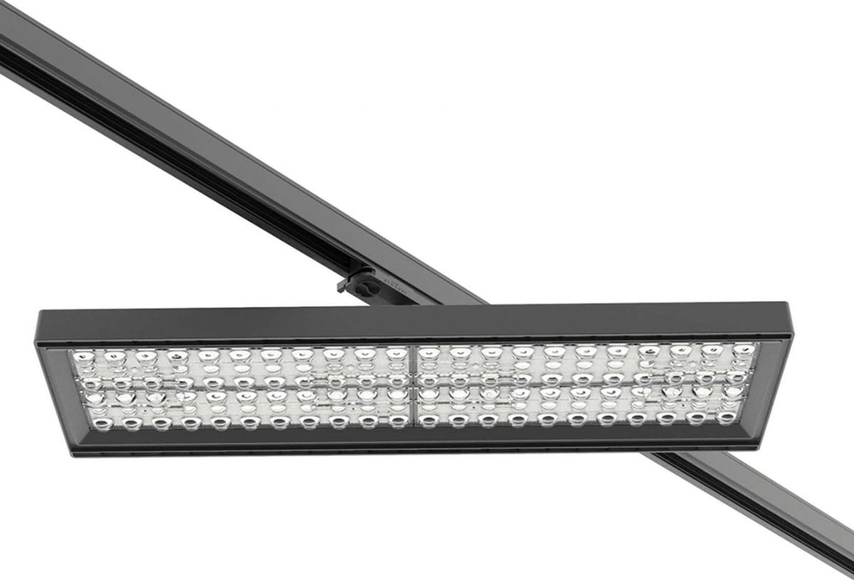 LED-Stromschienenstrahler 3101721