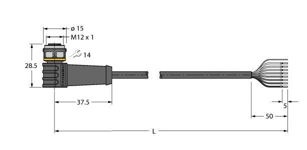 Anschlussleitung WKS8.800T-10/TXL